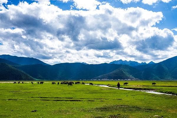 云南旅游攻略：必备物品、景点交通住宿全攻略