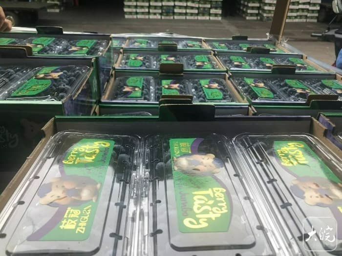 从按克卖到按斤卖，合肥市场蓝莓品种众多 品质不一价格差异大