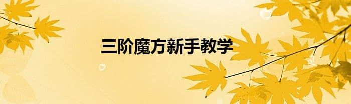三阶魔方新手教学