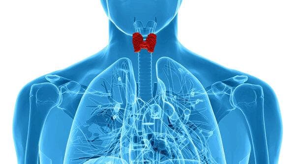 一文详解：甲状腺胶质囊肿与甲状腺囊肿的区别