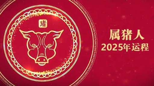 2025紫微流年命宫太阴化忌属猪人运势