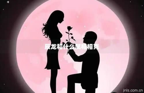 辰龙和什么属相相克