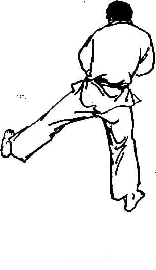 李小龙截拳道基本技术：截腿详解