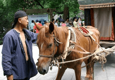古代车夫想怎么开就怎么开吗？车夫都是什么样的人