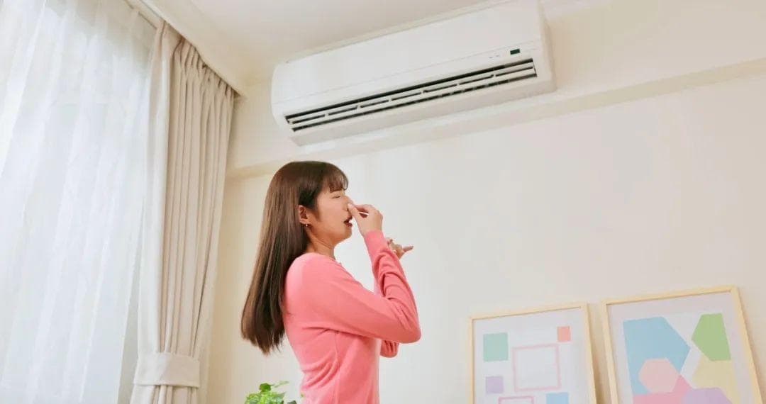 炎炎夏日，鼻想自由？夏日鼻部健康全攻略！