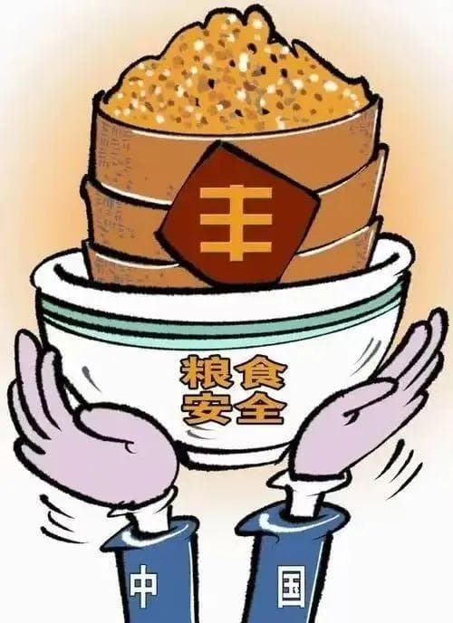 节约粮食记心中 光盘行动我践行