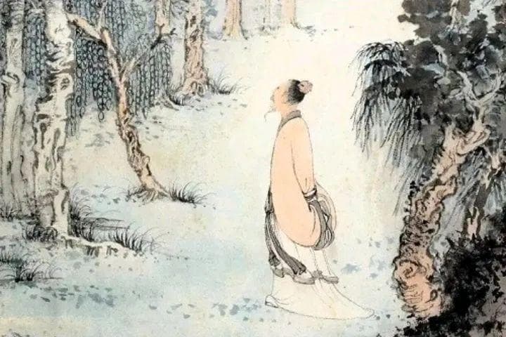 杜甫晚年诗歌名篇，流浪潭州，岸花飞送客，樯燕语留人