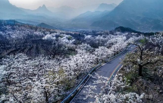 平谷发布沉浸式赏春指南，将解锁九大春景