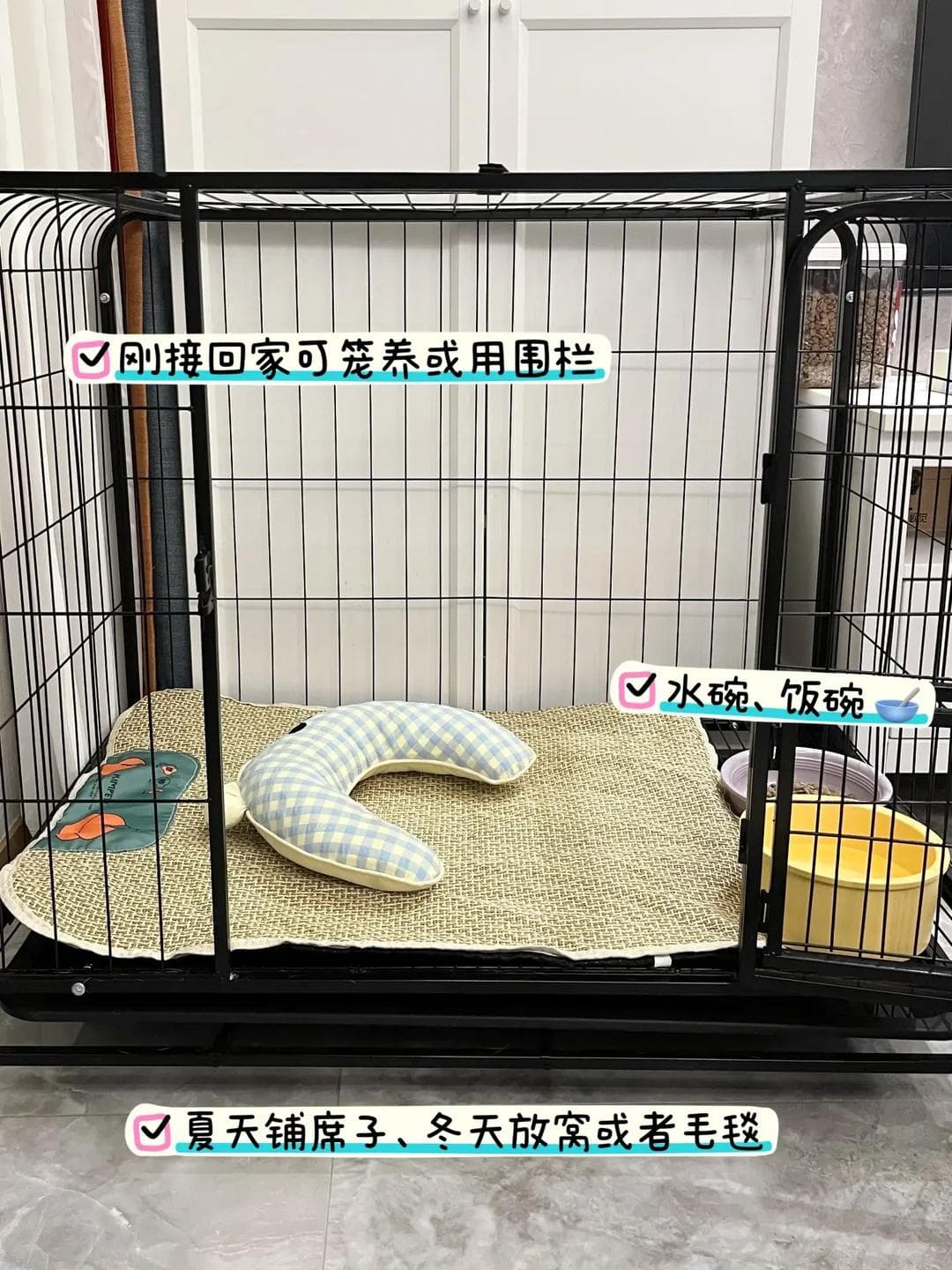 新手养狗完全指南：从基础物品到行为训练