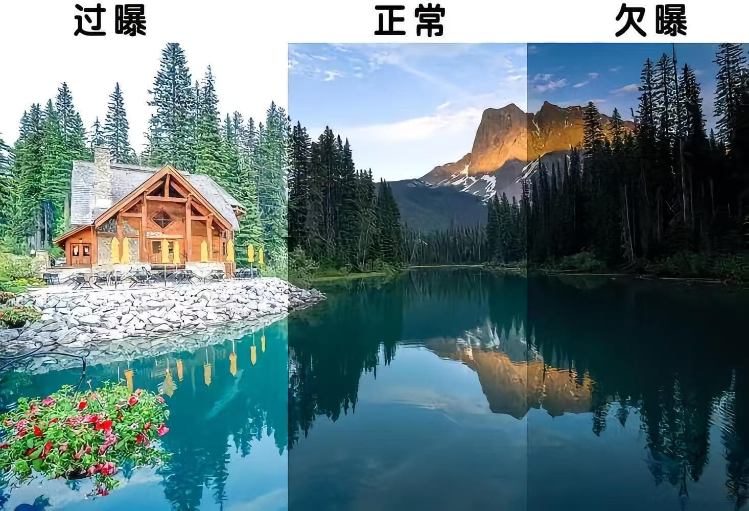 Camera基础知识系列(6)——曝光(Exposure)
