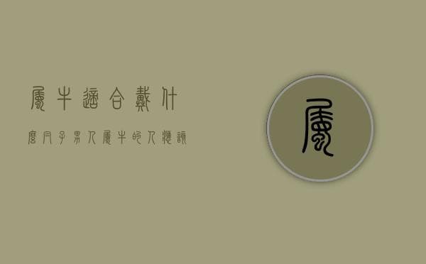 属牛适合戴什么帽子男人（属牛的人应该戴什么）