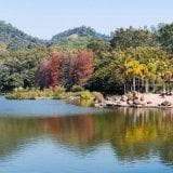 深圳遛娃必去：十大场所门票信息及开放时间一览