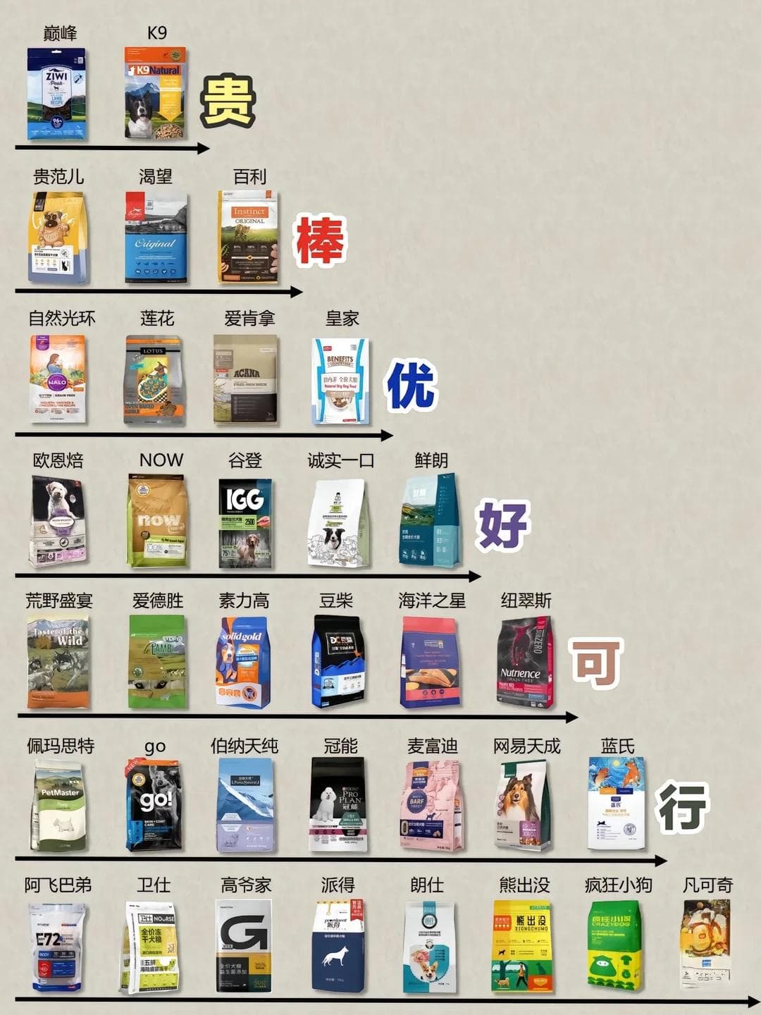 如何选到让狗满意的狗粮：从体质需求开始