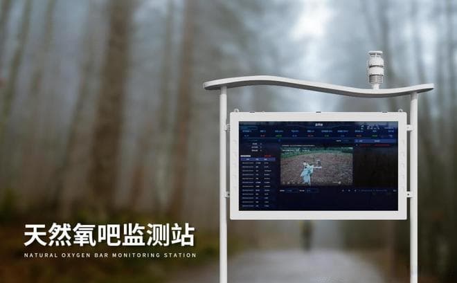 打造绿色景区：景区负离子监测系统的生态环境保护作用