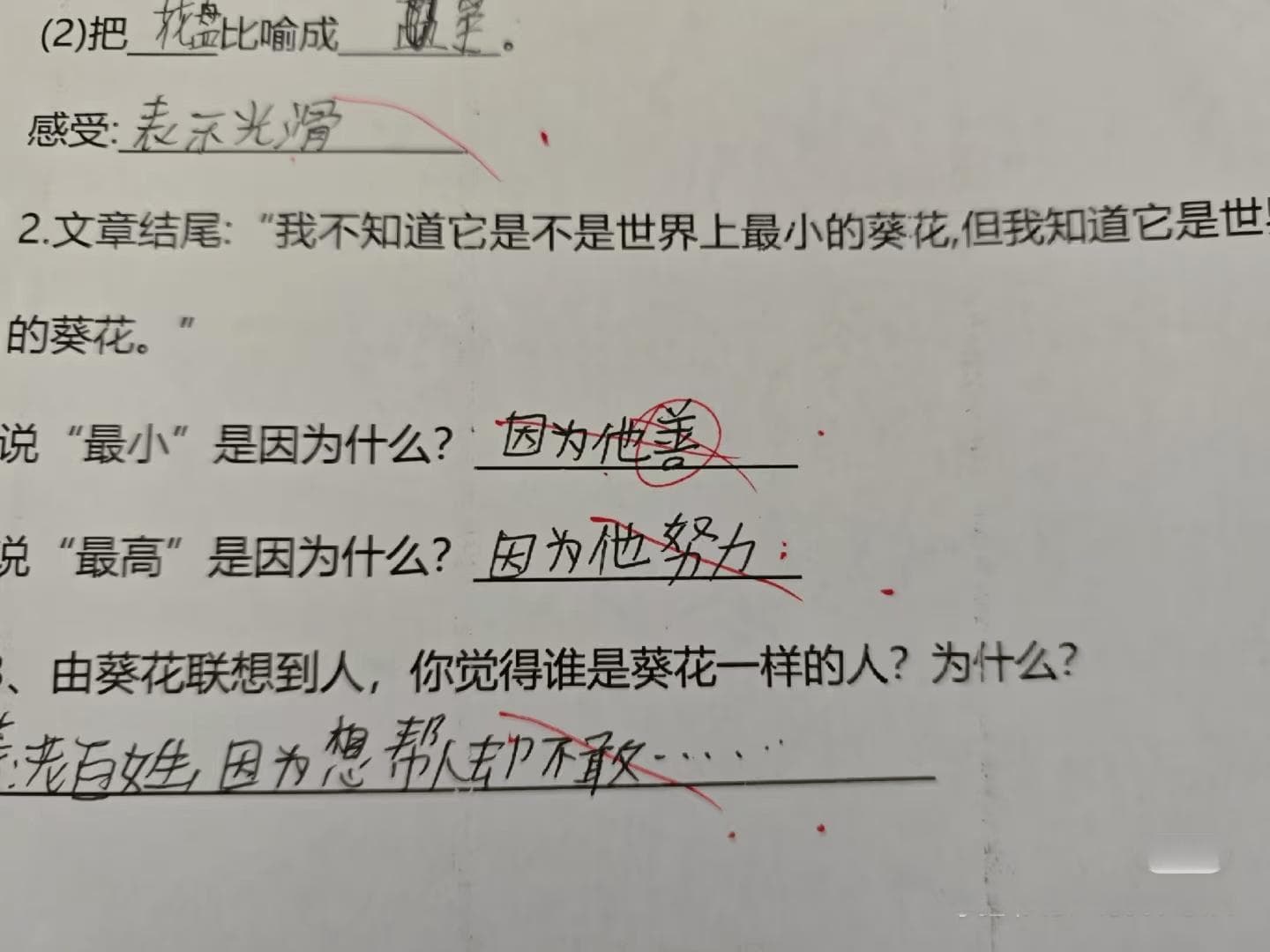 小学生作业现“栓Q”等网络黑话，多地开展语言规范教育