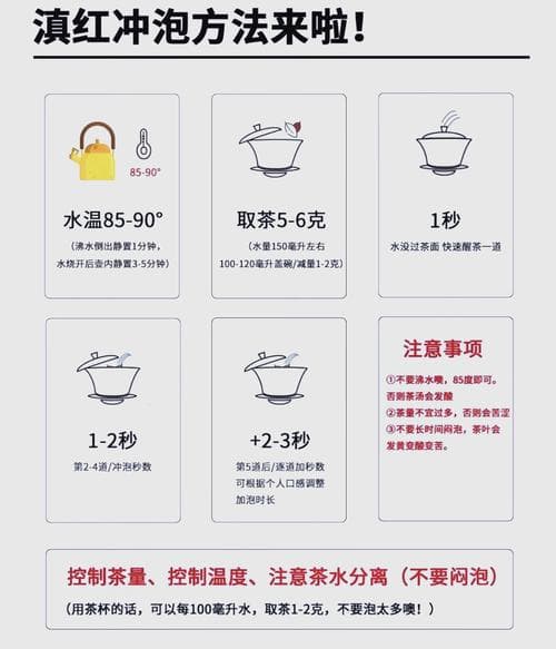 红茶的冲泡时间与汤色魅力，探究红茶多久出汤