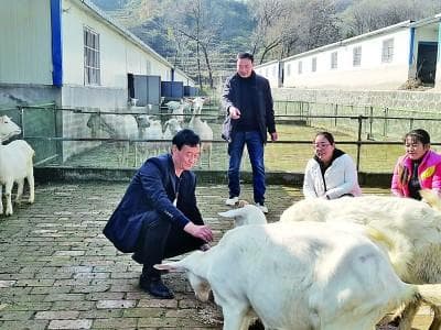 张家山村：7年时间，从5510元到18100元的增收奇迹