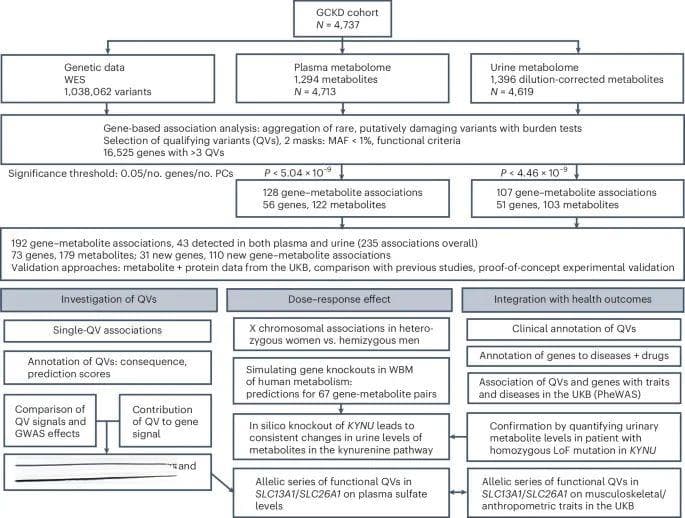 Nature Genetics：解析杂合基因变异的渐进效应是破解复杂疾病的关键