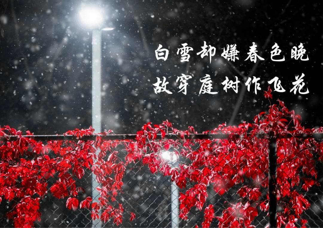 雪舞风华：写雪的诗句之美