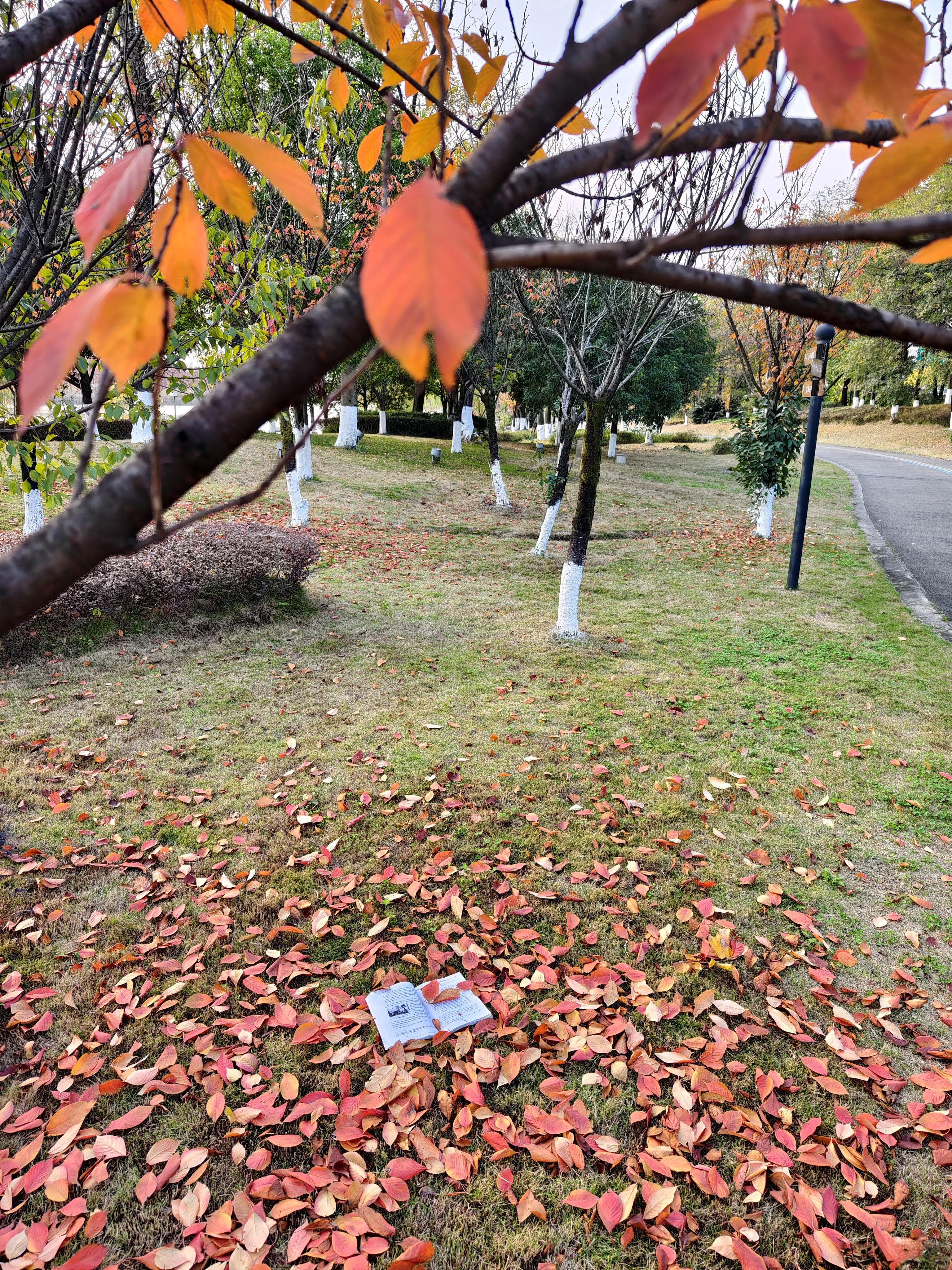 计算机就业情况及大学规划指南