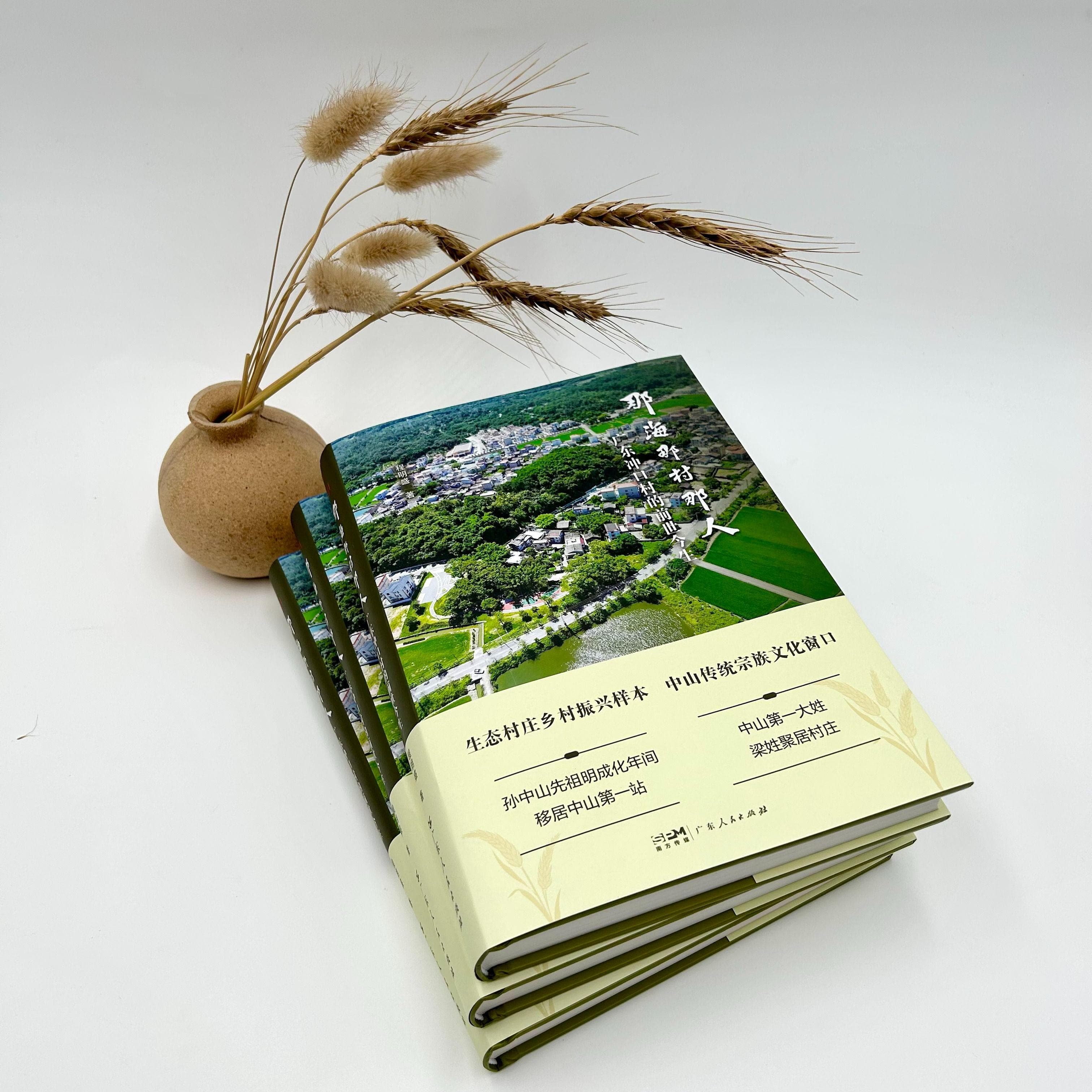 历史与现实的文学僭越：《那海那村那人》的叙事技巧