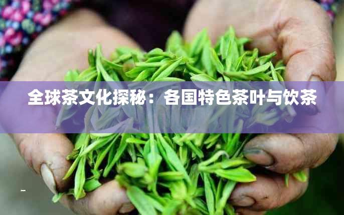 全球茶文化探秘：各国特色茶叶与饮茶习俗一览