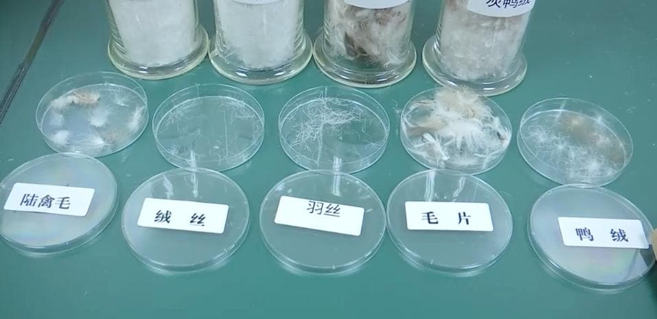 强冷空气本周末“到货” 超实用羽绒服挑选养护指南速来get