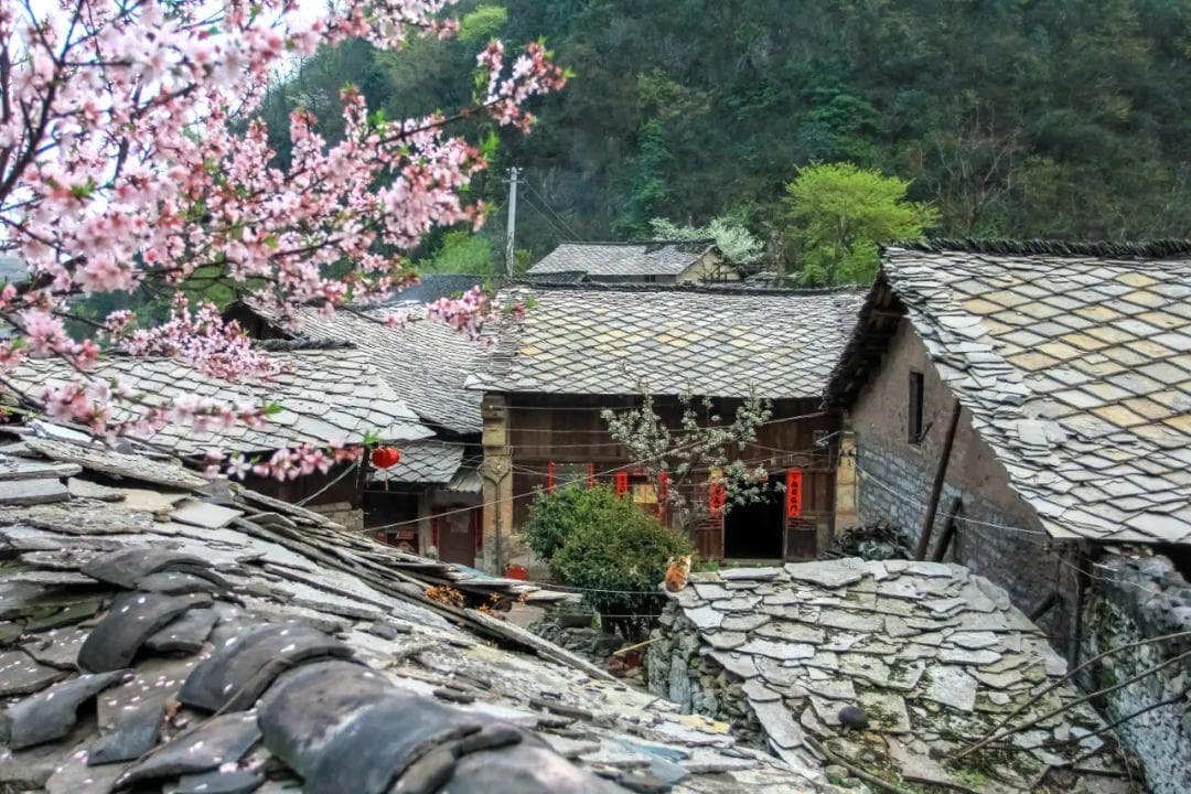 隐藏在古镇里的春天，有人间烟火气，也有春花烂漫的浪漫