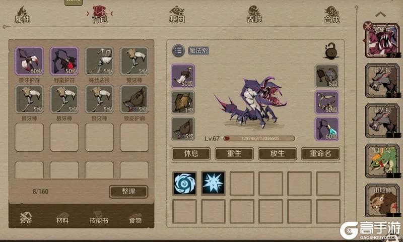 《时间之钥》宠物养成与生活技能全攻略