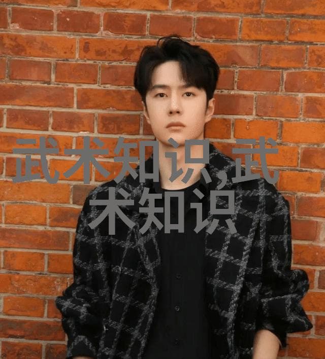 武术十二式：解析传统功夫的基石动作