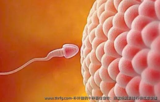 补叶酸的十种较好食物：照这份蔬菜排行榜吃准没错