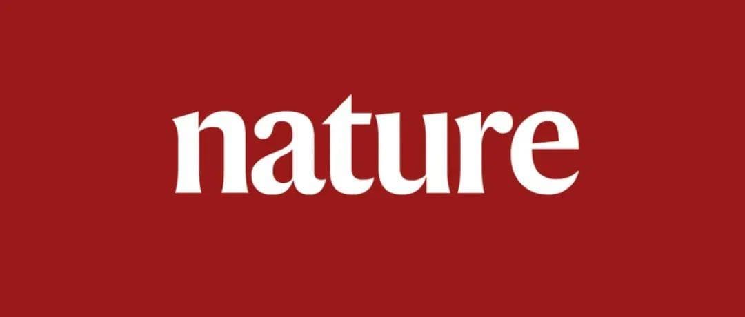 Nature子刊：新型磁电纳米盘实现无线神经调控