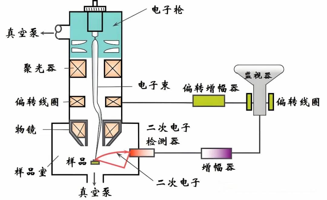 一文读懂丨扫描电镜(SEM)+能谱仪(EDS)设备检测能力介绍