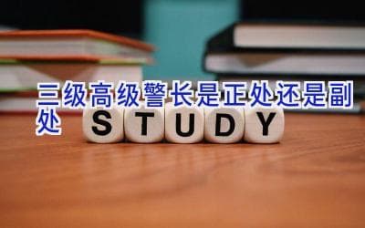 三级高级警长是正处还是副处？答案可能出乎你的意料