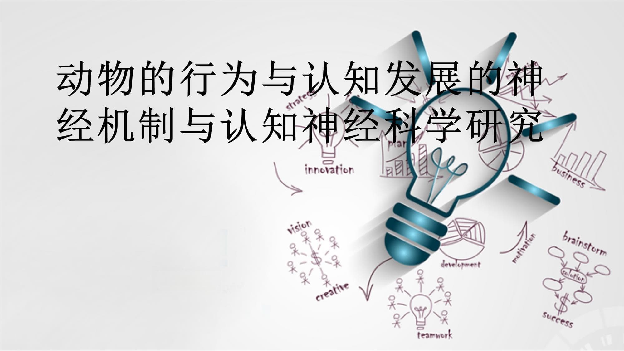 动物的行为与认知发展的神经机制与认知神经科学研究