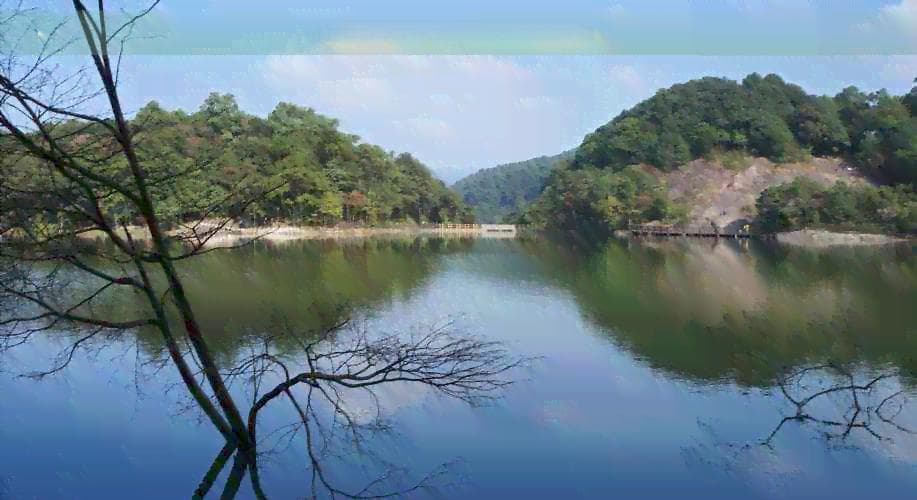 鄱阳县到鄱阳湖的交通方式和路线指南