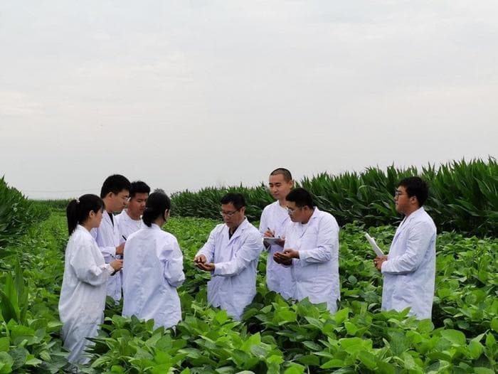 黑土地种出“金粒粒”，吉林省科技小院显身手！