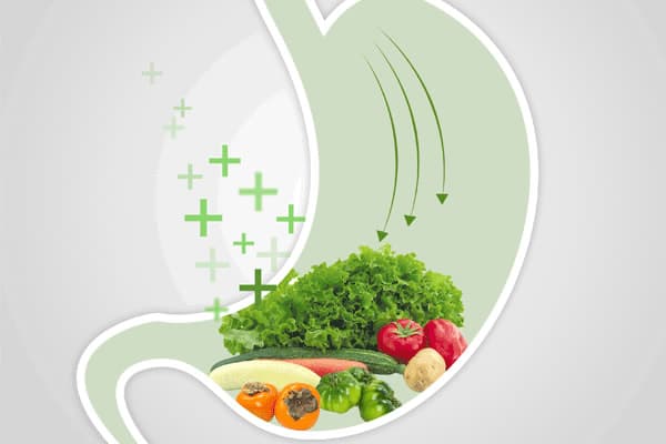 老人消化不好吃什么最好？8种助消化食物和调理建议