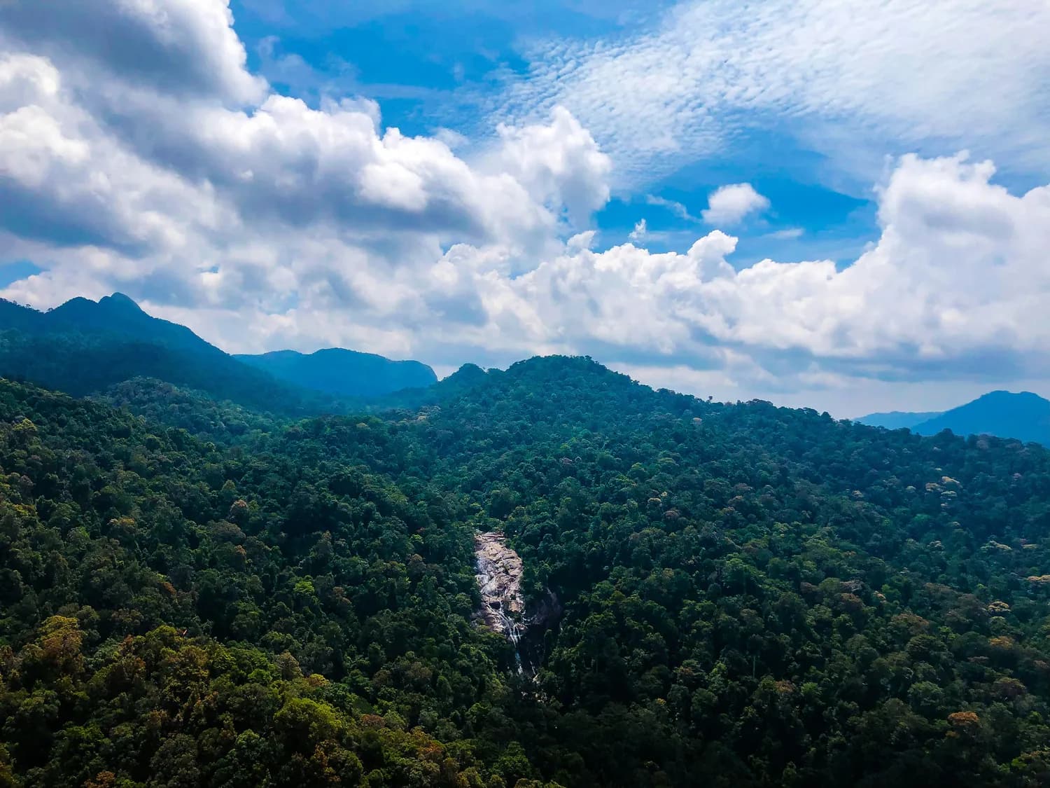 广东观音山：自然保护地的未来之路