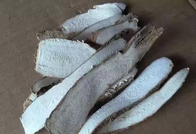 香料为何能“去腥除异”，原理大揭秘