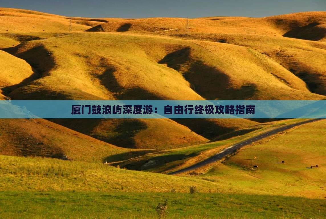 厦门鼓浪屿深度游：自由行终极攻略指南