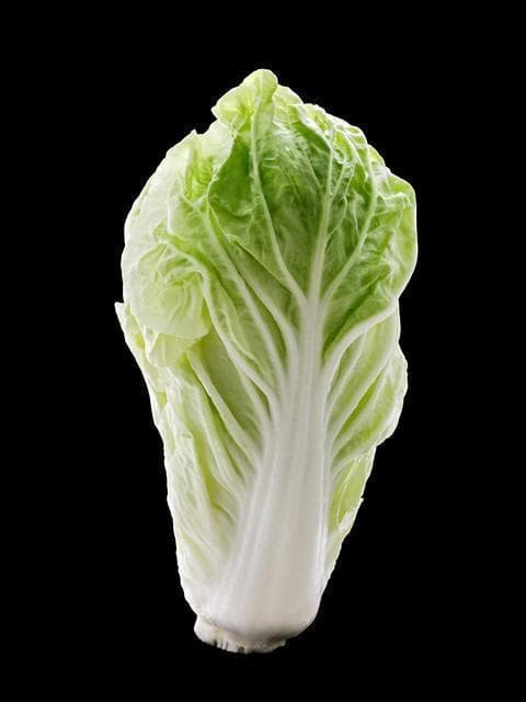 大白菜的奇妙世界：从营养到烹饪的全面指南