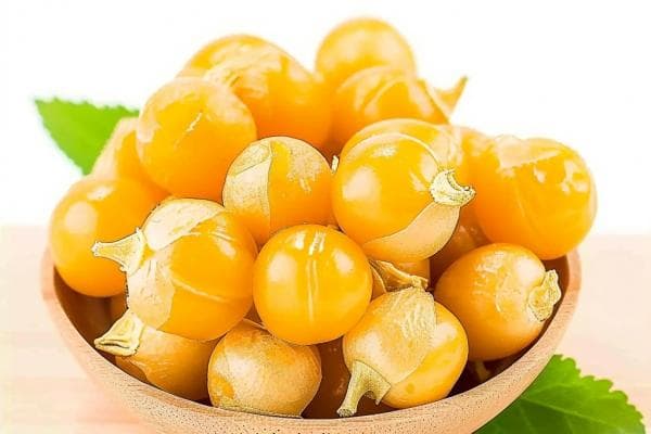 姑娘果的功效与作用、禁忌和食用方法