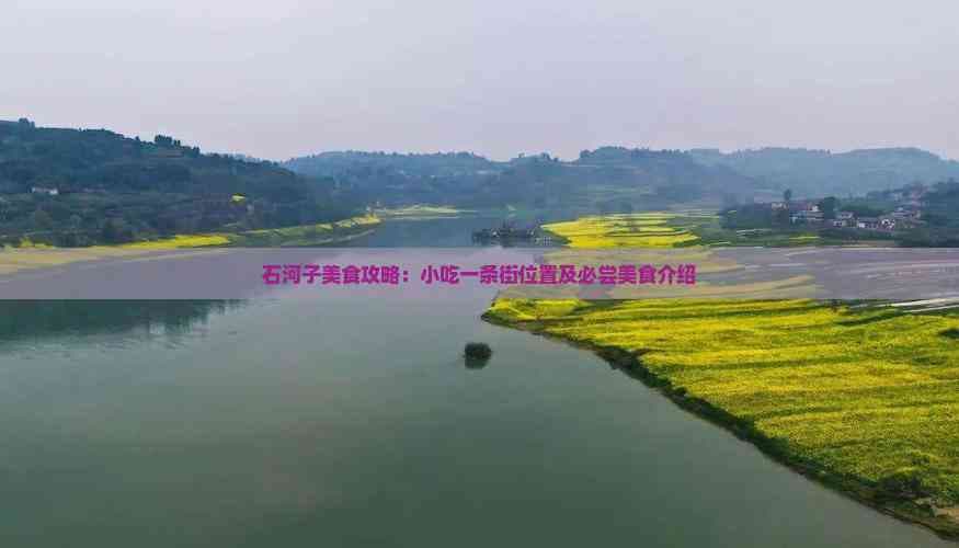 石河子美食攻略：小吃一条街位置及必尝美食介绍