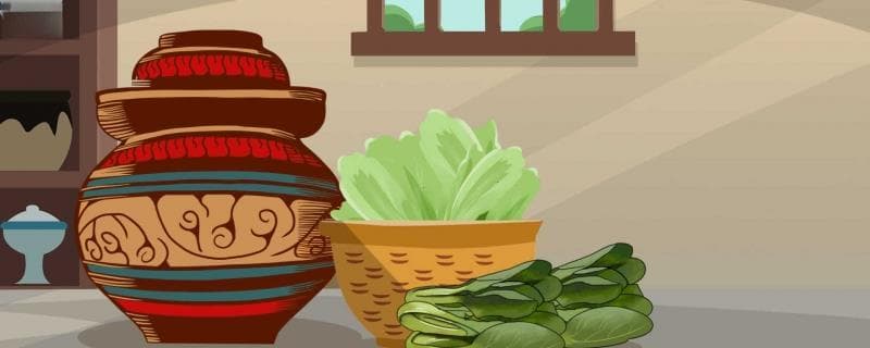 泡菜坛内长白膜怎么办？原因分析与解决方法详解
