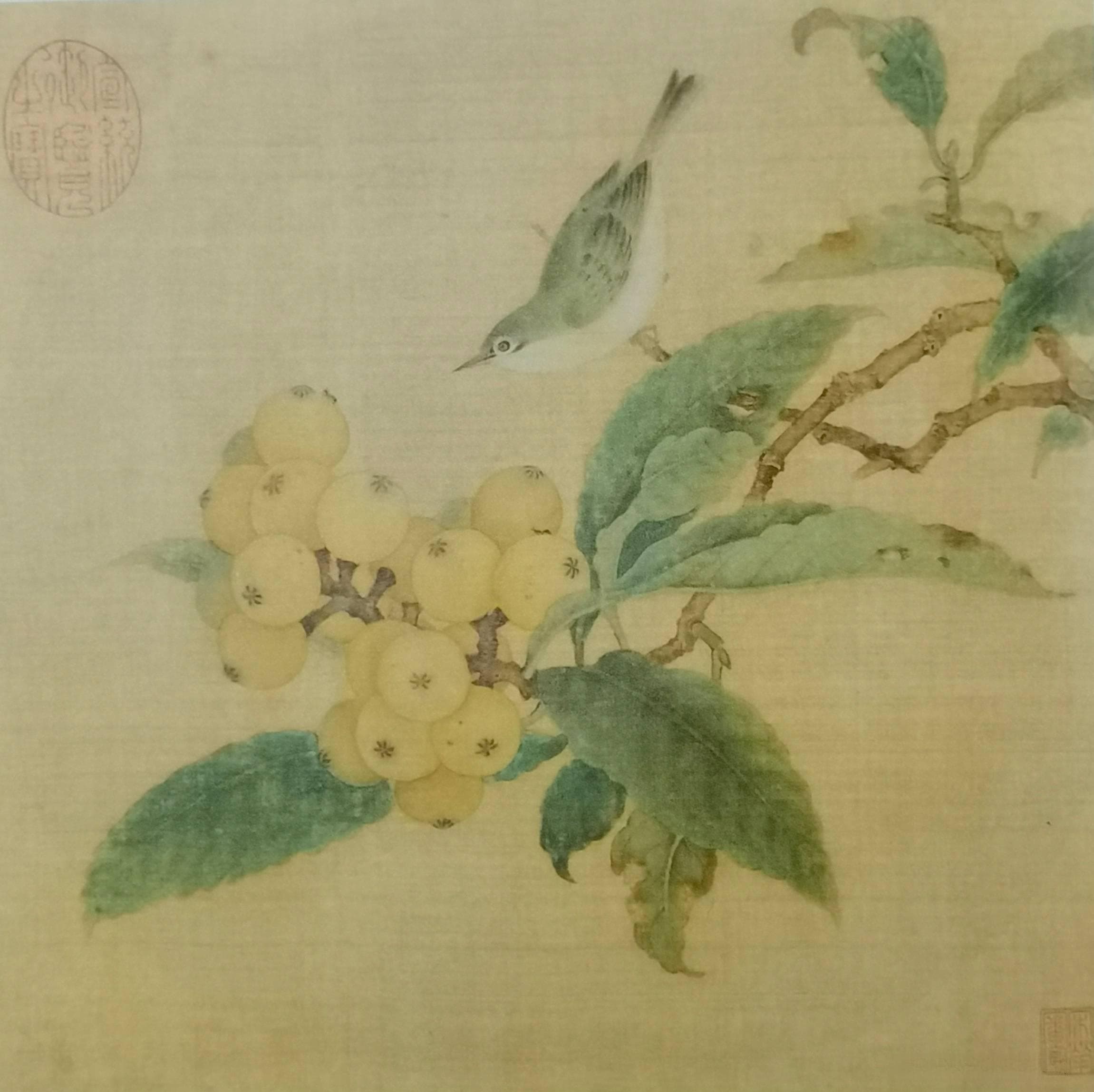 国画欣赏：《枇杷山鸟图页》（南宋.林椿）