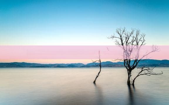 海南旅游攻略：如何经济实惠地抢购优惠车票与机票