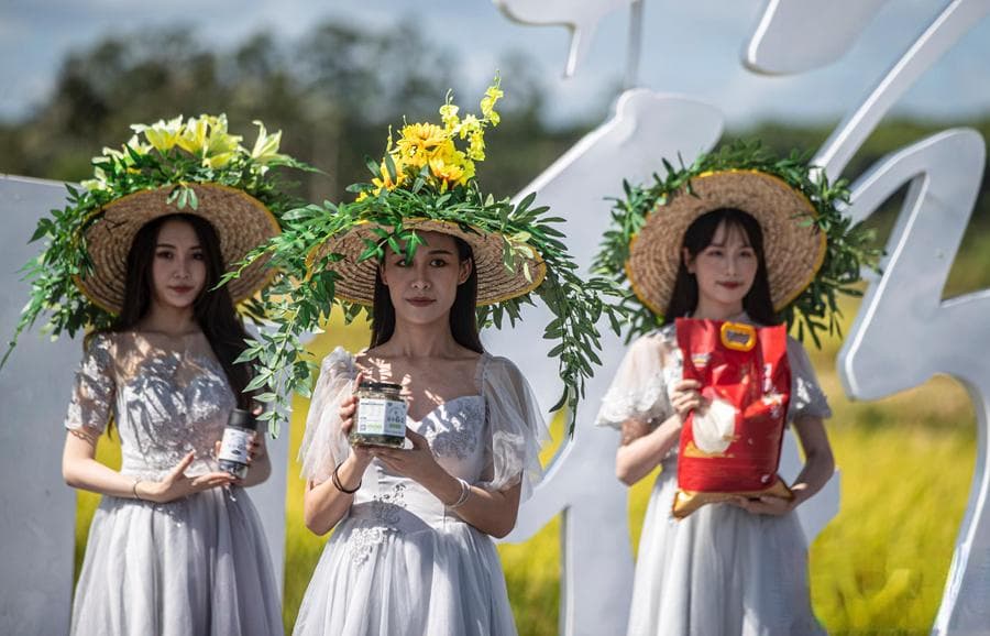 如何评价哔哩哔哩的徐大虾：探讨一位原创UP主的成功之道