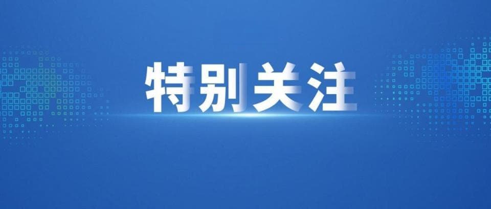 黄茅海跨海通道如何收费？两种方案来了