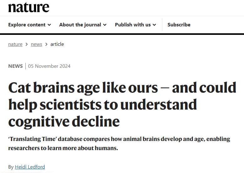 Nature：猫的大脑为什么是研究老年痴呆的理想模型？